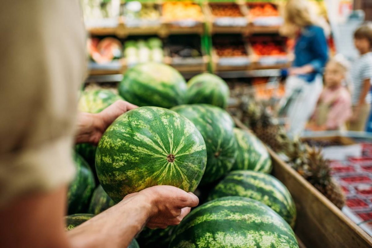 Cara Memilih Buah Semangka Yang Manis Dan Matang Sempurna Official