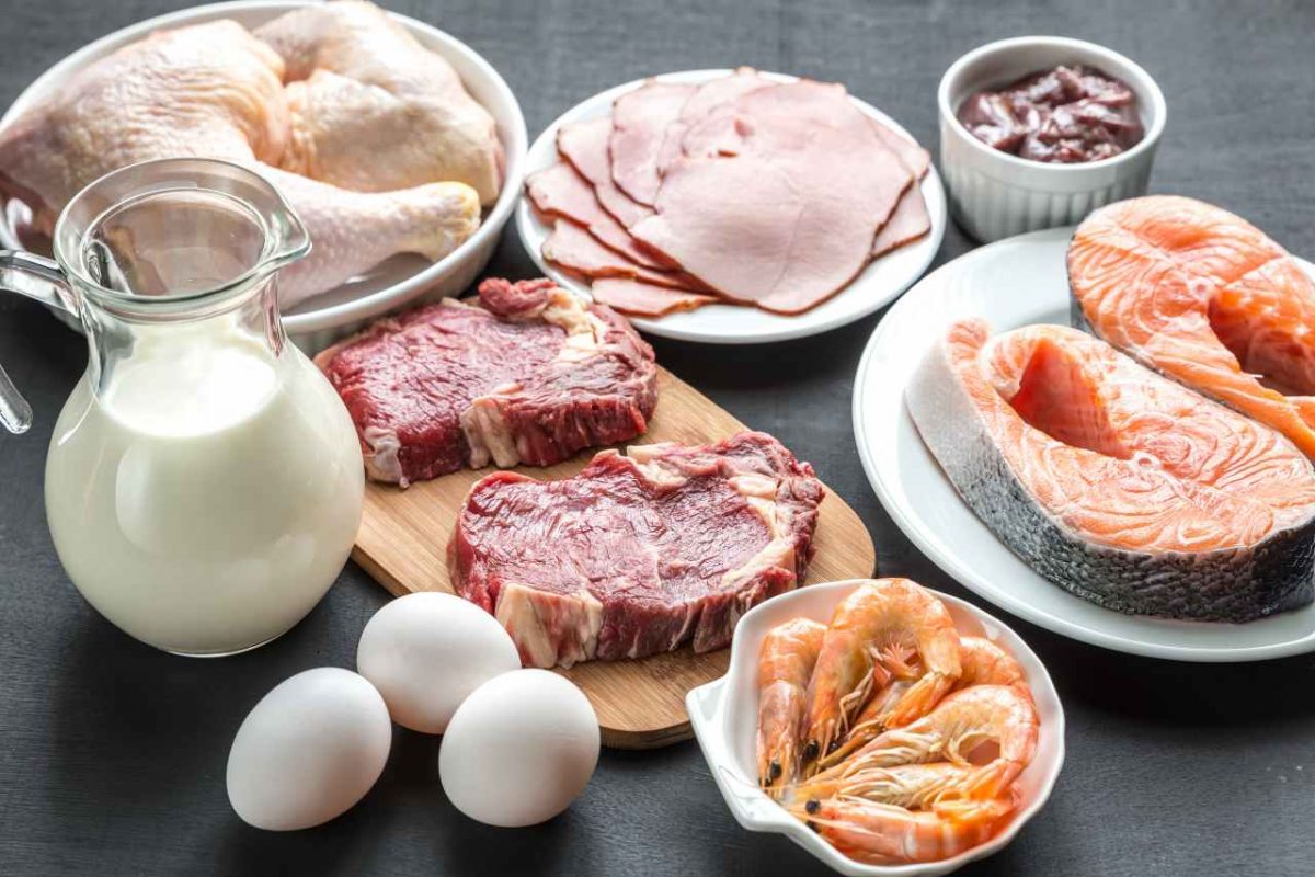 21 Contoh Makanan Yang Mengandung Protein Tinggi Cocok Untuk Diet Official Astronauts Blog 4488